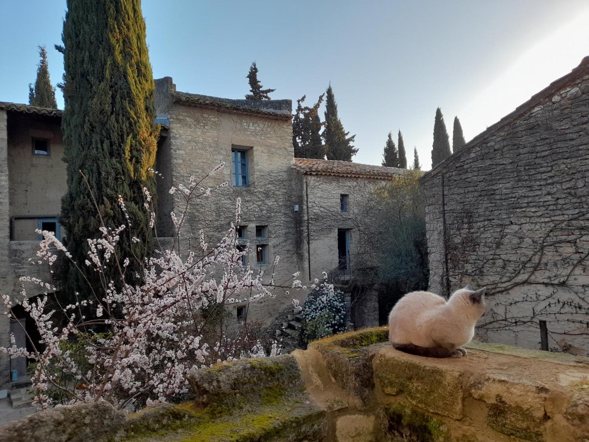 Le Mas Du Lac Uzès Zewnętrze zdjęcie