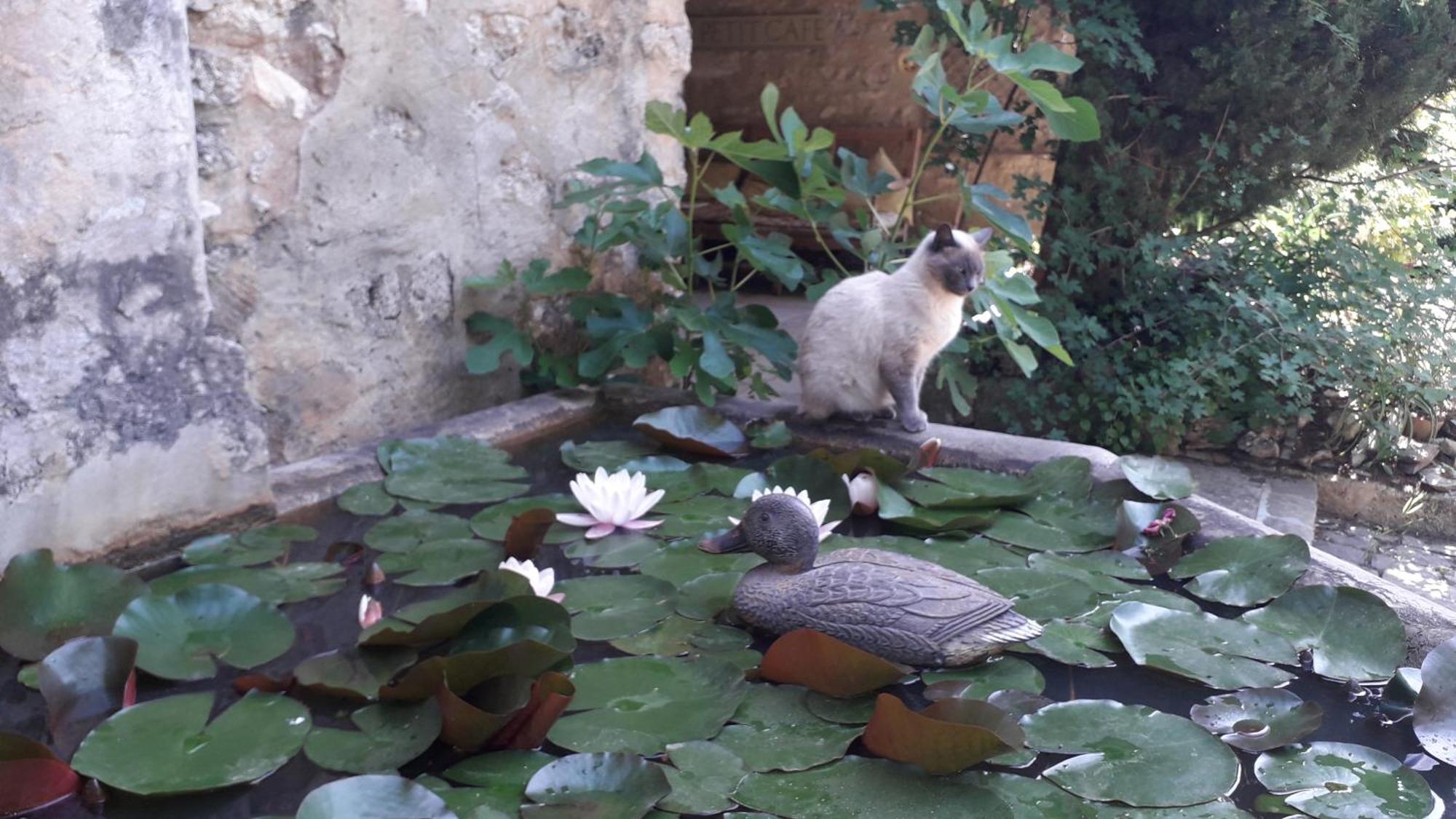 Le Mas Du Lac Uzès Zewnętrze zdjęcie