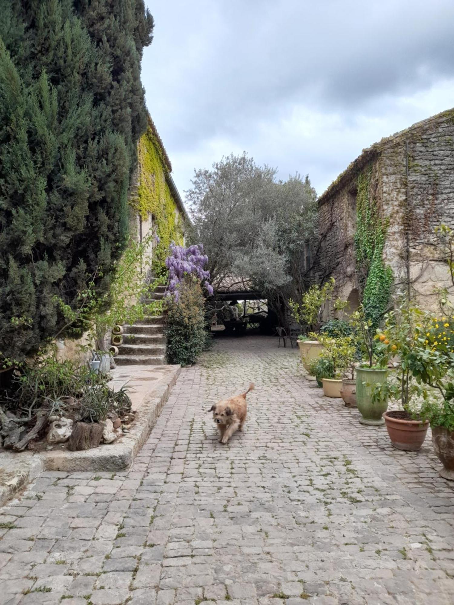 Le Mas Du Lac Uzès Zewnętrze zdjęcie