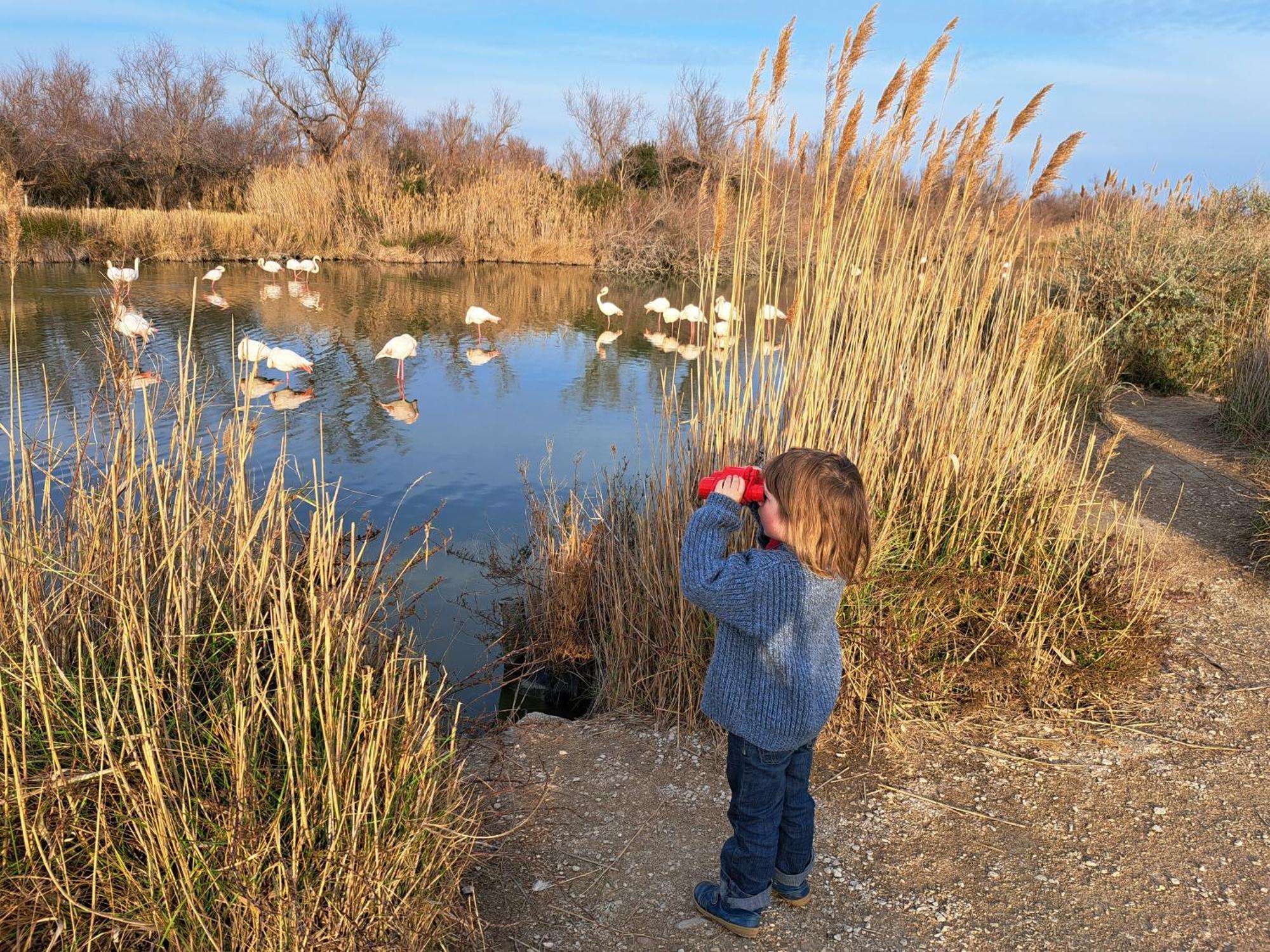 Le Mas Du Lac Uzès Zewnętrze zdjęcie